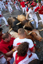 Los toros de La Palmosilla enfilan la Curva de Telefónica