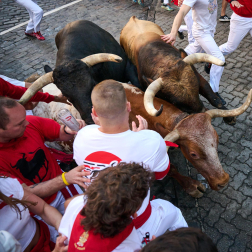 Los toros de La Palmosilla enfilan la Curva de Telefónica