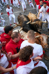 Los toros de La Palmosilla enfilan la Curva de Telefónica