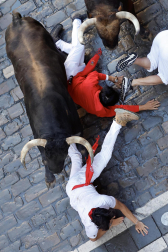 Emocionante primero encierro de los Sanfermines 2024 con toros de la ganadería La Palmosilla