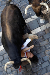 Emocionante primero encierro de los Sanfermines 2024 con toros de la ganadería La Palmosilla