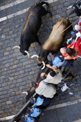 Emocionante primero encierro de los Sanfermines 2024 con toros de la ganadería La Palmosilla