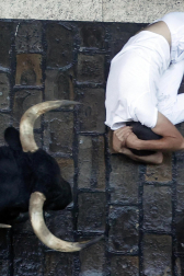 Emocionante primero encierro de los Sanfermines 2024 con toros de la ganadería La Palmosilla