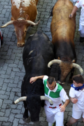 Emocionante primero encierro de los Sanfermines 2024 con toros de la ganadería La Palmosilla