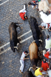 Emocionante primero encierro de los Sanfermines 2024 con toros de la ganadería La Palmosilla