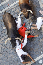Emocionante primero encierro de los Sanfermines 2024 con toros de la ganadería La Palmosilla