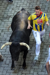 Emocionante primero encierro de los Sanfermines 2024 con toros de la ganadería La Palmosilla