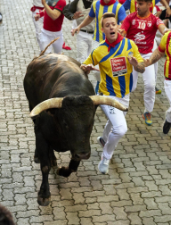 Paso de la manada de La Palmosilla por el callejón durante el primer encierro de los Sanfermines 2024