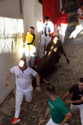 Tensión en el callejón a la plaza de toros durante el encierro de La Palmosilla
