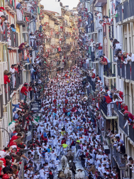 Encierro de La Palmosilla en el tramo de Estafeta