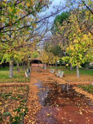 Colores de Otoño en Tafalla.