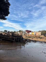 Imágenes de la localidad valenciana de Picaña donde el pamplonés Pablo Rodríguez realiza labores de voluntario tras el paso de la DANA /