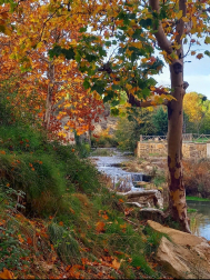 Fuente Rekarte en Tafalla.