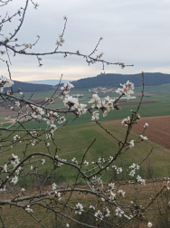San Gregorio Ostiense.