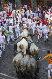 Fotos del sexto encierro de San Fermín con toros de Escolar. |