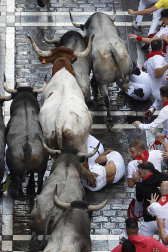 Fotos del sexto encierro de San Fermín con toros de Escolar. |