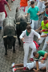 Fotos del sexto encierro de San Fermín con toros de Escolar. |
