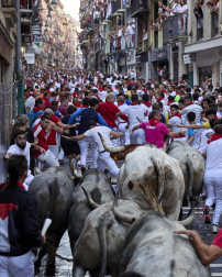 Fotos del sexto encierro de San Fermín con toros de Escolar. |