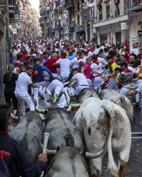 Fotos del sexto encierro de San Fermín con toros de Escolar. |