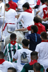 Fotos del sexto encierro de San Fermín con toros de Escolar. |