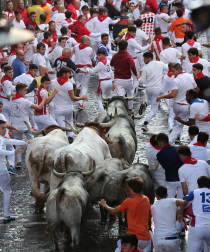 Fotos del sexto encierro de San Fermín con toros de Escolar. |
