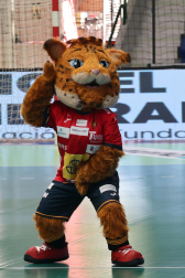Fotos del Replasa Beti Onak - Madeira Andebol