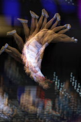 Segunda jornada del Campeonato del Mundo de Gimnasia de Trampolín en Pamplona.