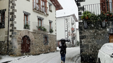 Nieve en Leitza.