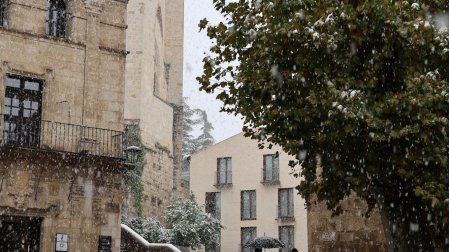 nieve estella