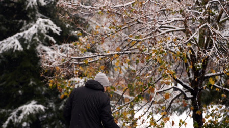 Nieve Pamplona