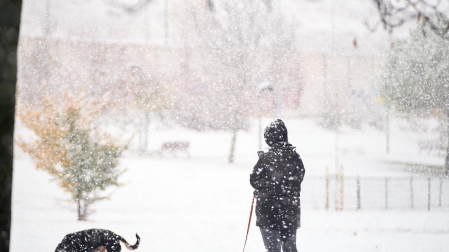 Nieve Pamplona
