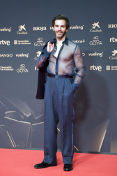 Fotos de la alfombra roja de los Premios Goya 2026
