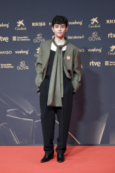 Fotos de la alfombra roja de los Premios Goya 2026