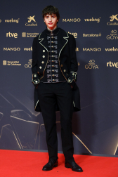 Fotos de la alfombra roja de los Premios Goya 2026