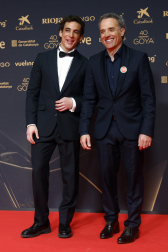 Fotos de la alfombra roja de los Premios Goya 2026.