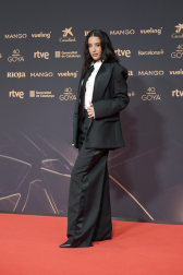Fotos de la alfombra roja de los Premios Goya 2026.