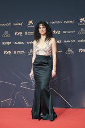 Fotos de la alfombra roja de los Premios Goya 2026.