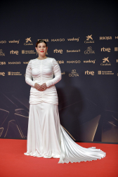 Fotos de la alfombra roja de los Premios Goya 2026.
