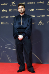Fotos de la alfombra roja de los Premios Goya 2026.