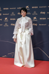 Fotos de la alfombra roja de los Premios Goya 2026.