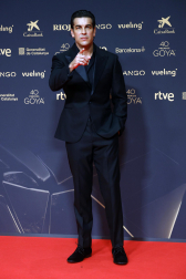Fotos de la alfombra roja de los Premios Goya 2026.