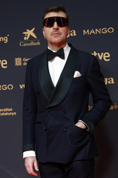 Fotos de la alfombra roja de los Premios Goya 2026.