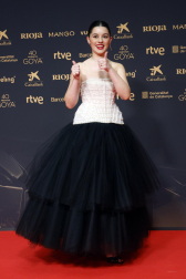 Fotos de la alfombra roja de los Premios Goya 2026.
