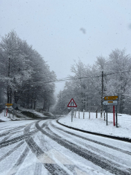 Fotos de la nevada caída este sábado en Leitzaran