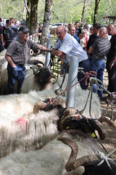 feria de primavera en Elizondo