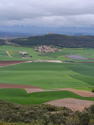 Primavera