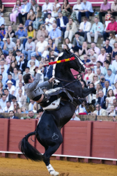 Guillermo Hermoso de Mendoza