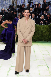 Fotos de la Gala Met 2026