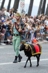 Alrededor de 3.700 efectivos tomaron parte del desfile militar con motivo del Día de las Fuerzas Armadas celebrado en Vigo