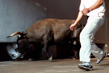 El principal motivo por el que una carrera suele superar el tiempo establecido es que uno de los toros se queda rezagado respecto a la manada y, por ello, se desorienta y no sabe hacia dónde dirigirse, lo que también provoca situaciones peligrosas para los corredores.